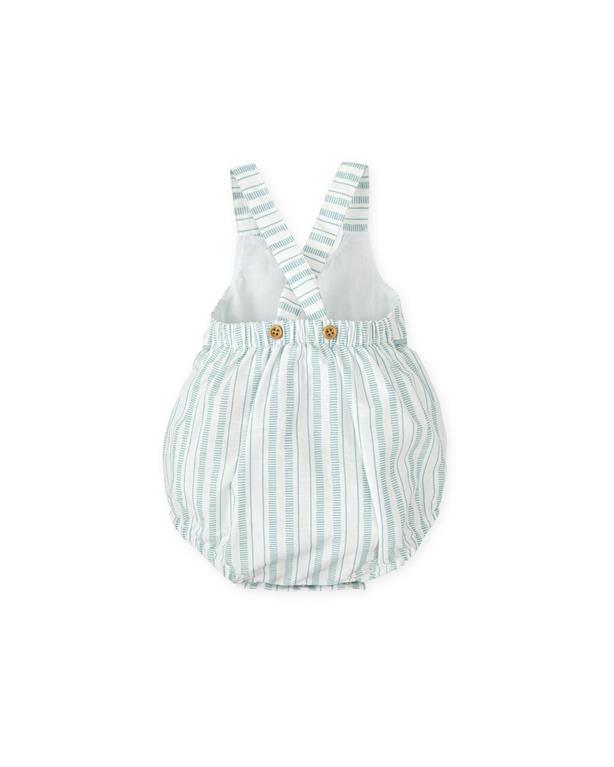 Ranita Rayas Tuttopiccolo