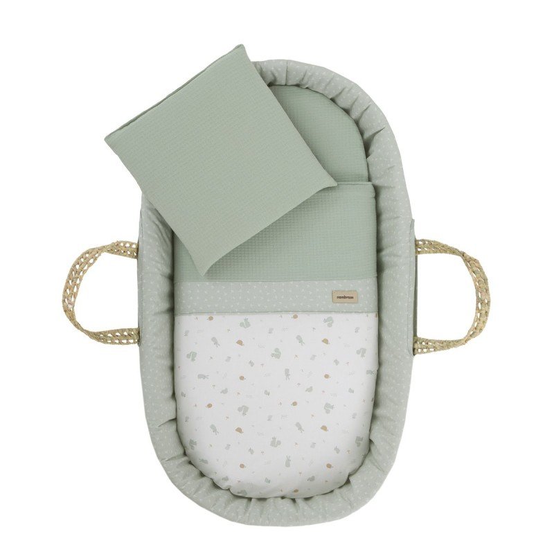 Moisés palma acolchado