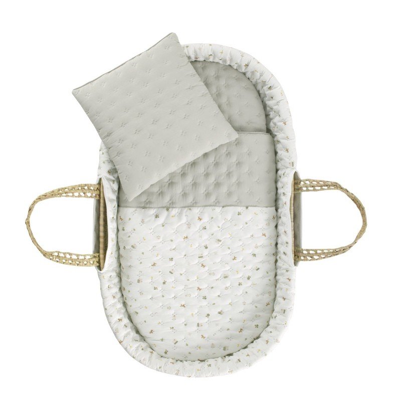 Moisés palma acolchado