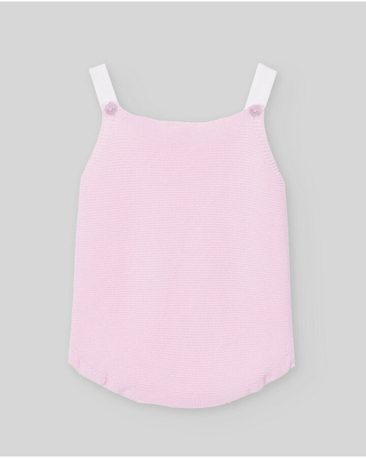 Ranita punto Bico paz rodriguez