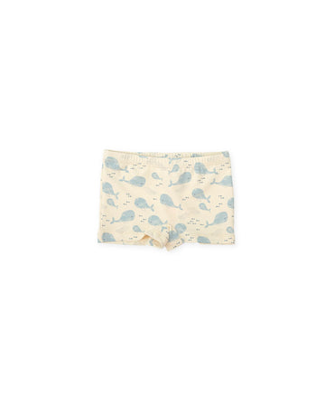 Bond ballenas Tuttopiccolo