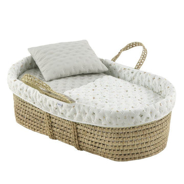 Moisés palma acolchado